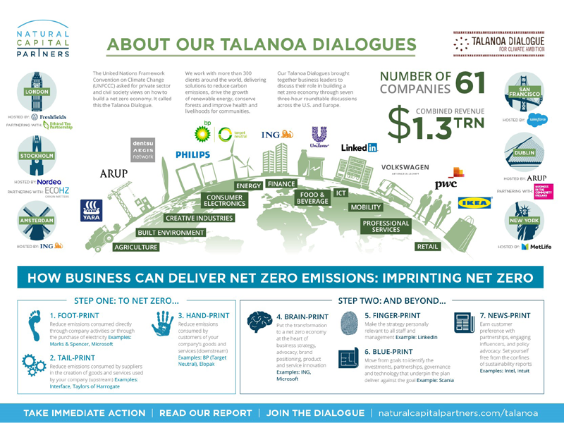 Natural Capital Partners’ Talanoa Dialogue: The Role of Business in Getting to Net Zero